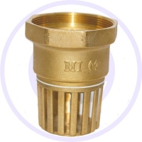 RỌ ĐỒNG MI