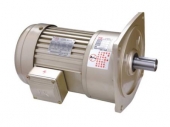 Động Cơ Giảm Tốc Điều Khiển Tốc Độ Dolin - Taiwan