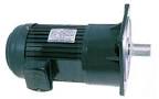 Động Cơ Hộp Giảm Tốc Dolin