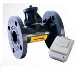 Đồng Hồ Đo Nước Thải Ems Dn50