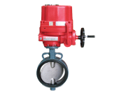 Van Bướm Tín Hiệu Điện - Pccc